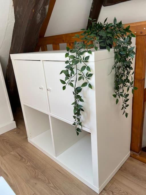Apartament Le Soleil Levant Dieppe Zewnętrze zdjęcie